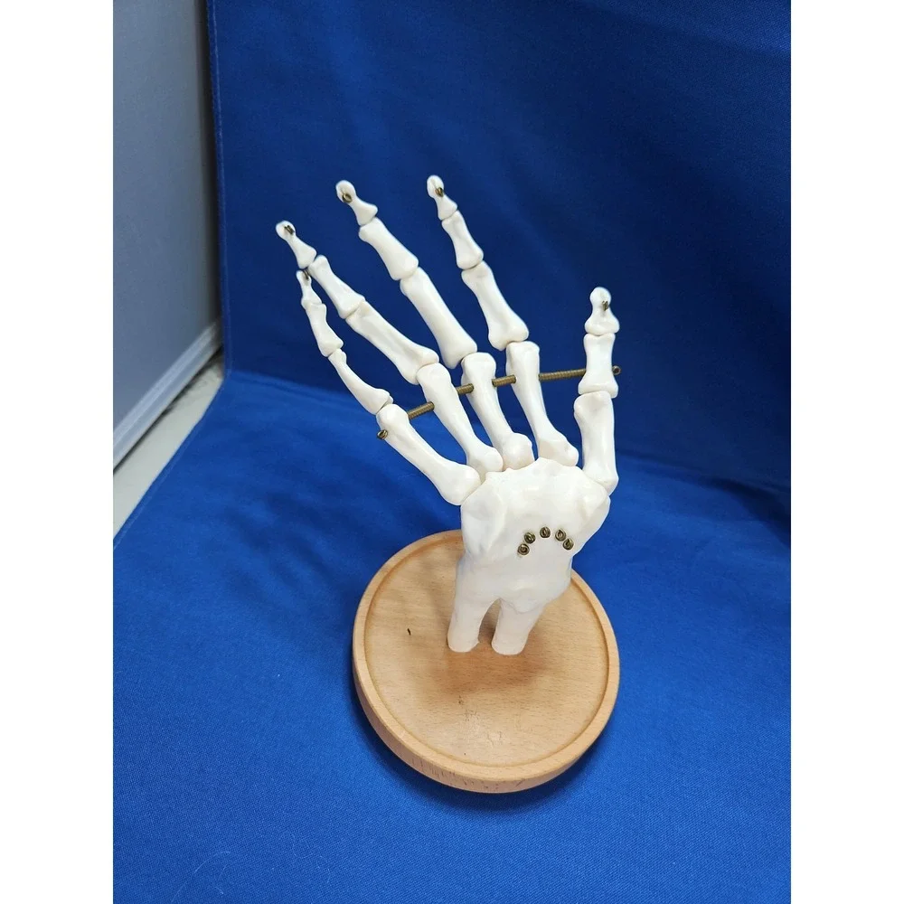 Skeleton Hand Jewelry Stand Ring Necklace Holder Gothic Halloween Life-Size